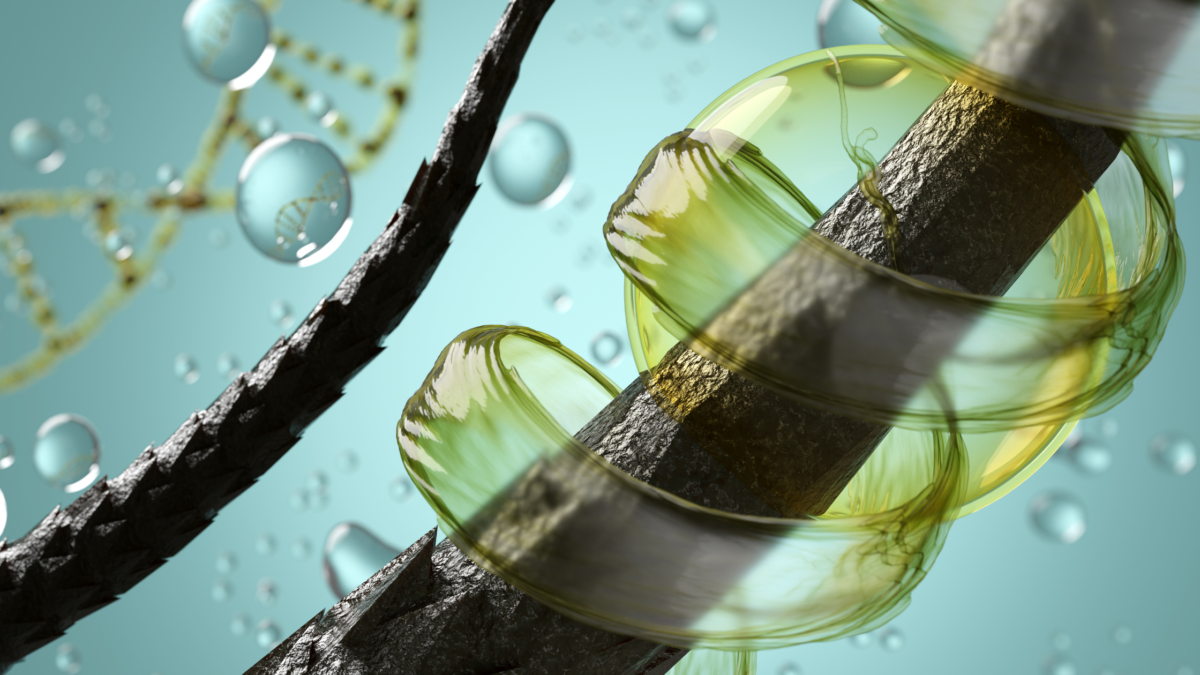 Best Vitamins for Hair Health