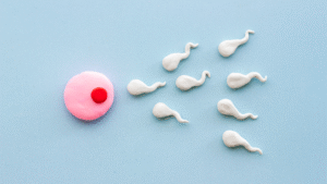 Poor Responder IVF Supplements