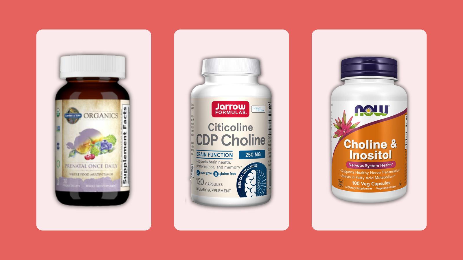 Choline, Pregnancy, and Brain Development